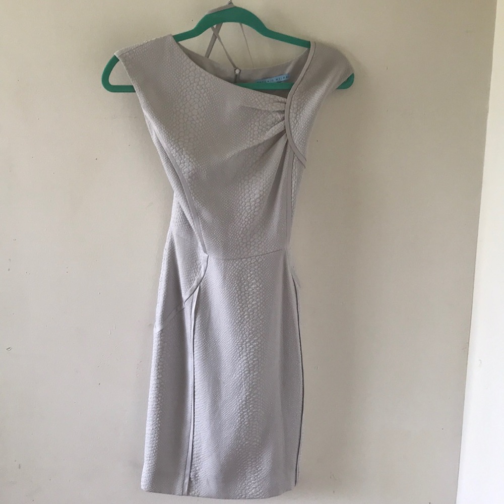 Antonio Milani Textured Capped Sleeve Dress